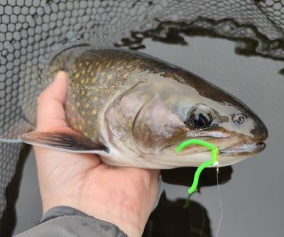 Turrall Top Tips: Squirmy Worms: How to tie and fish them