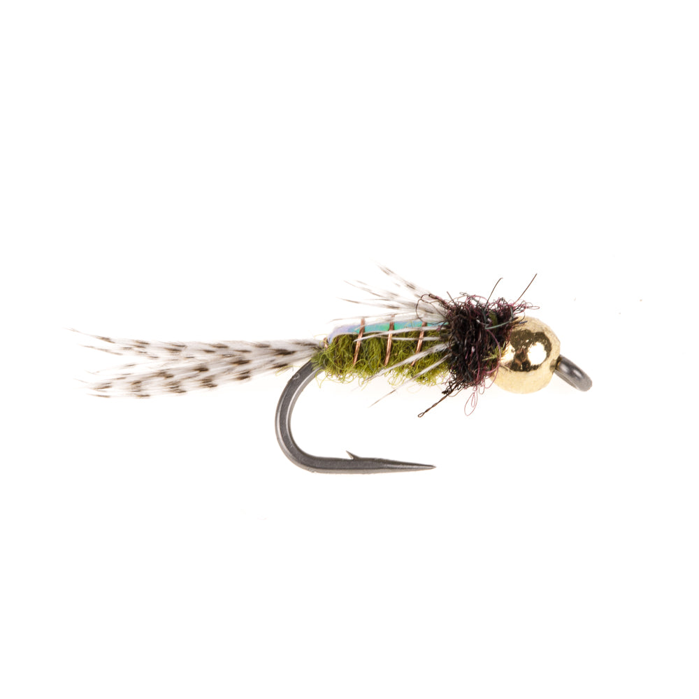 BEAD HEAD FLASHBACK CADDIS OLIVE