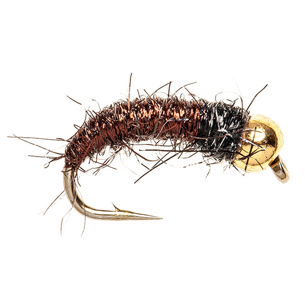 BRITE LITE LARVA CADDIS BROWN BH