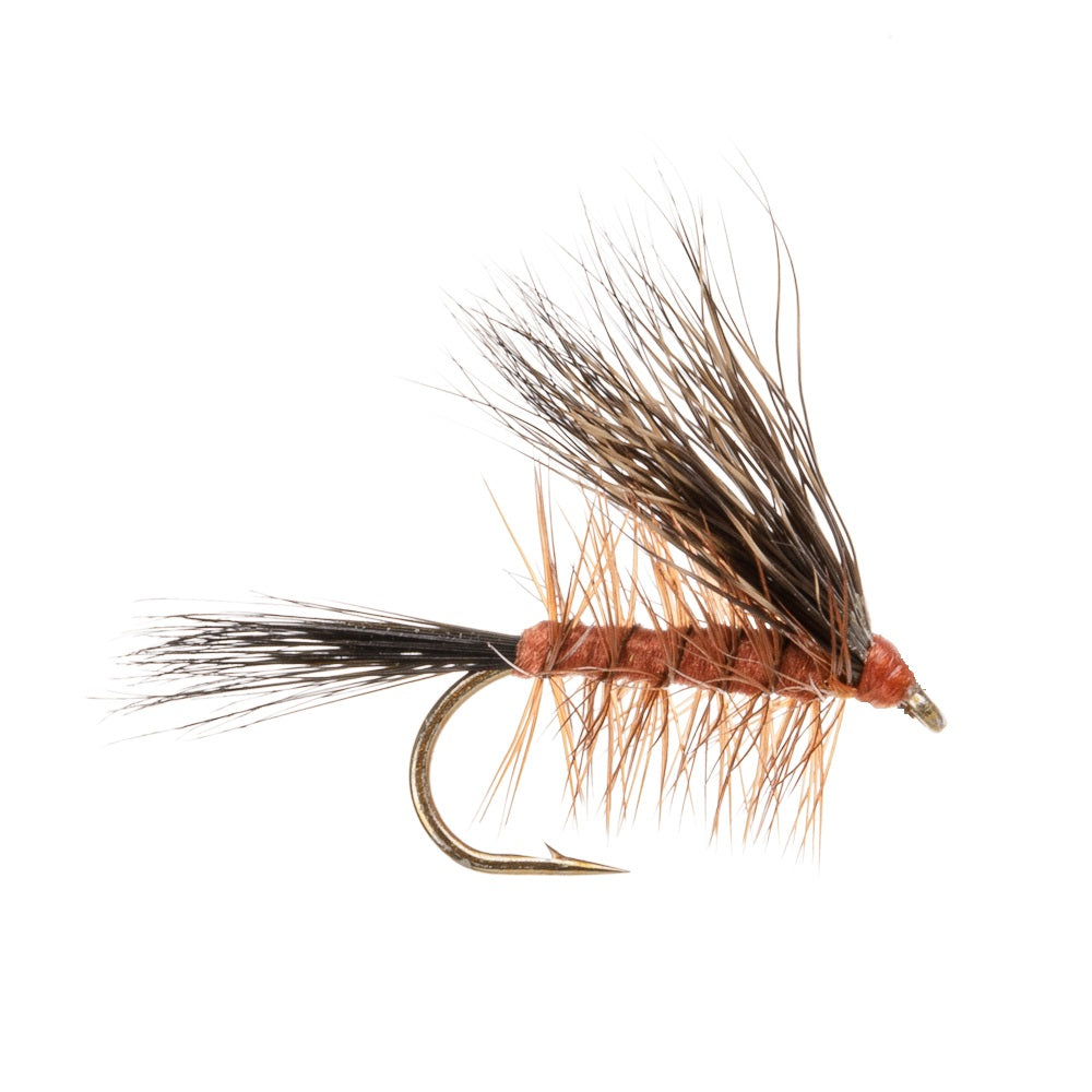 BUCK CADDIS Dark