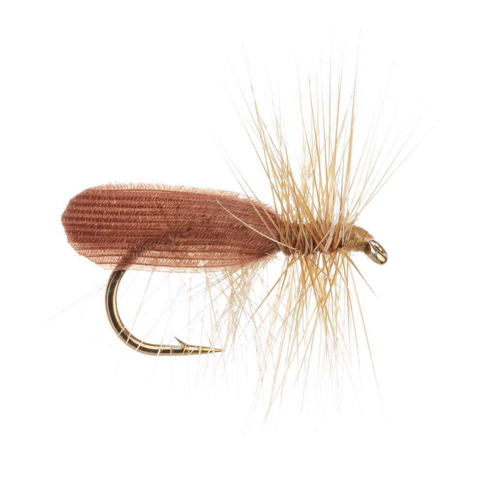 CADDIS (SEDGE) CINNAMON