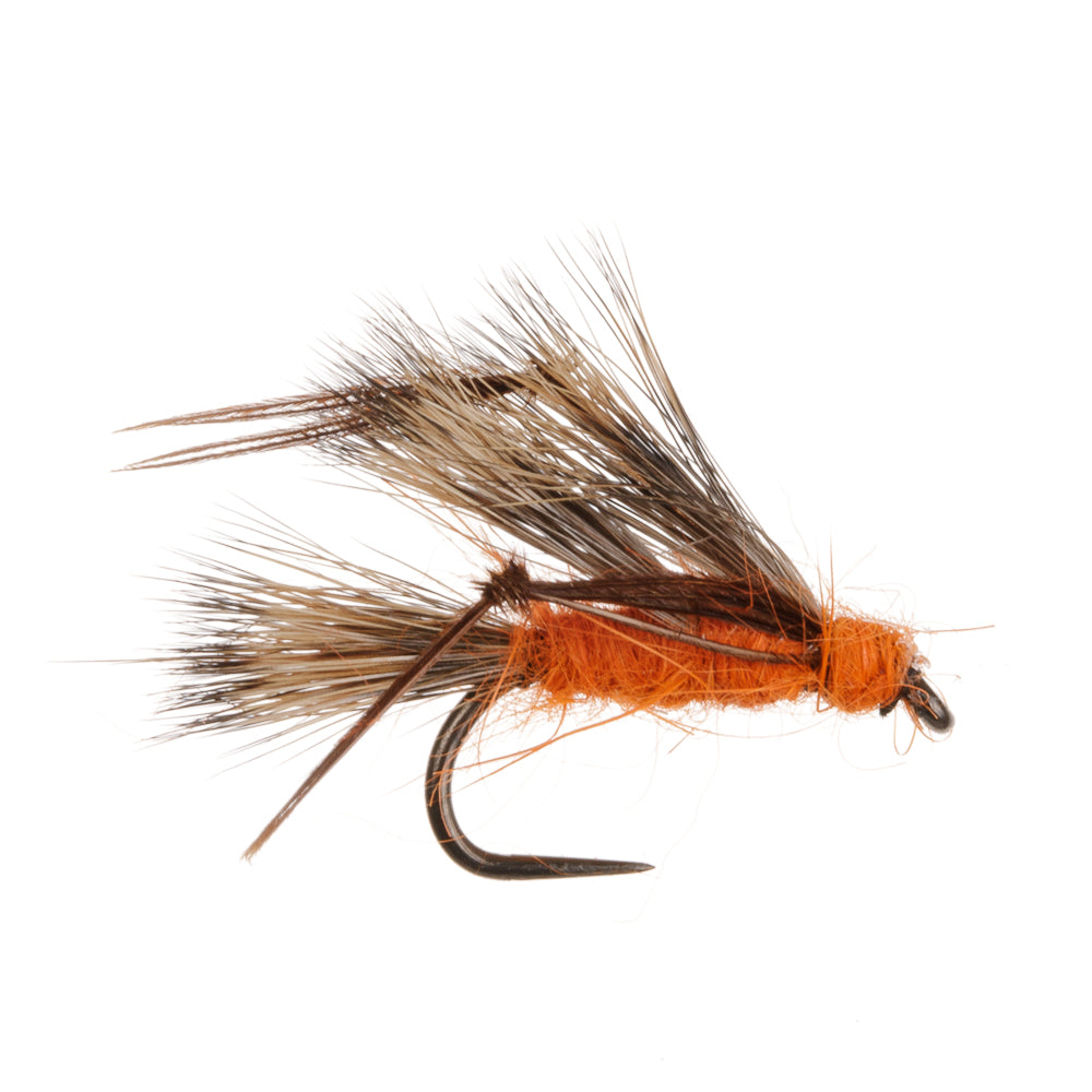 SEDGEHOG ORANGE BARBLESS