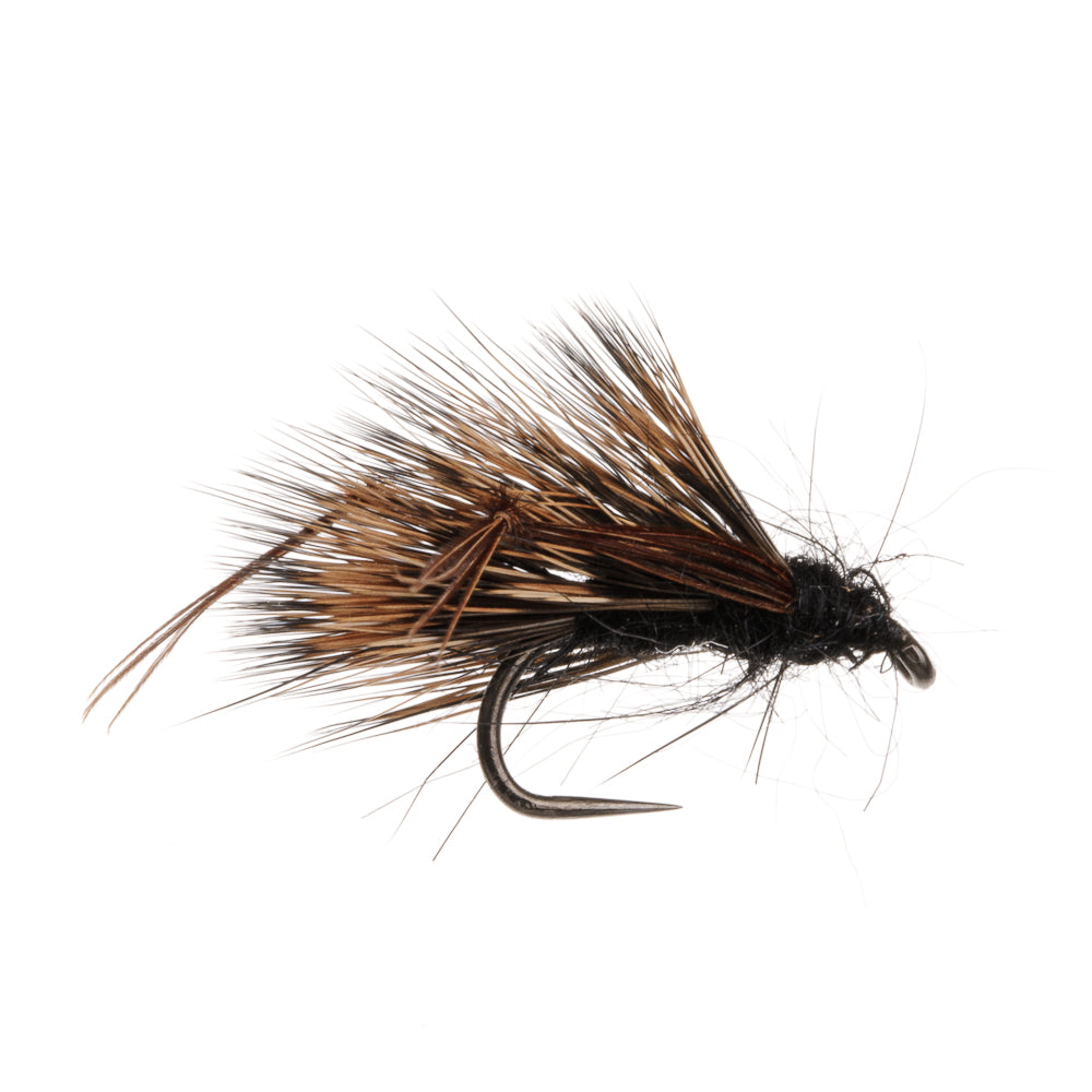 SEDGEHOG BLACK BARBLESS