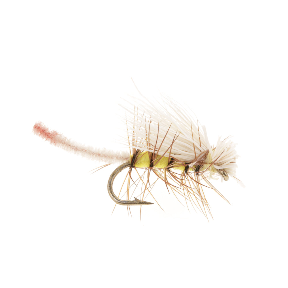 LI'L YELLOW STONEFLY