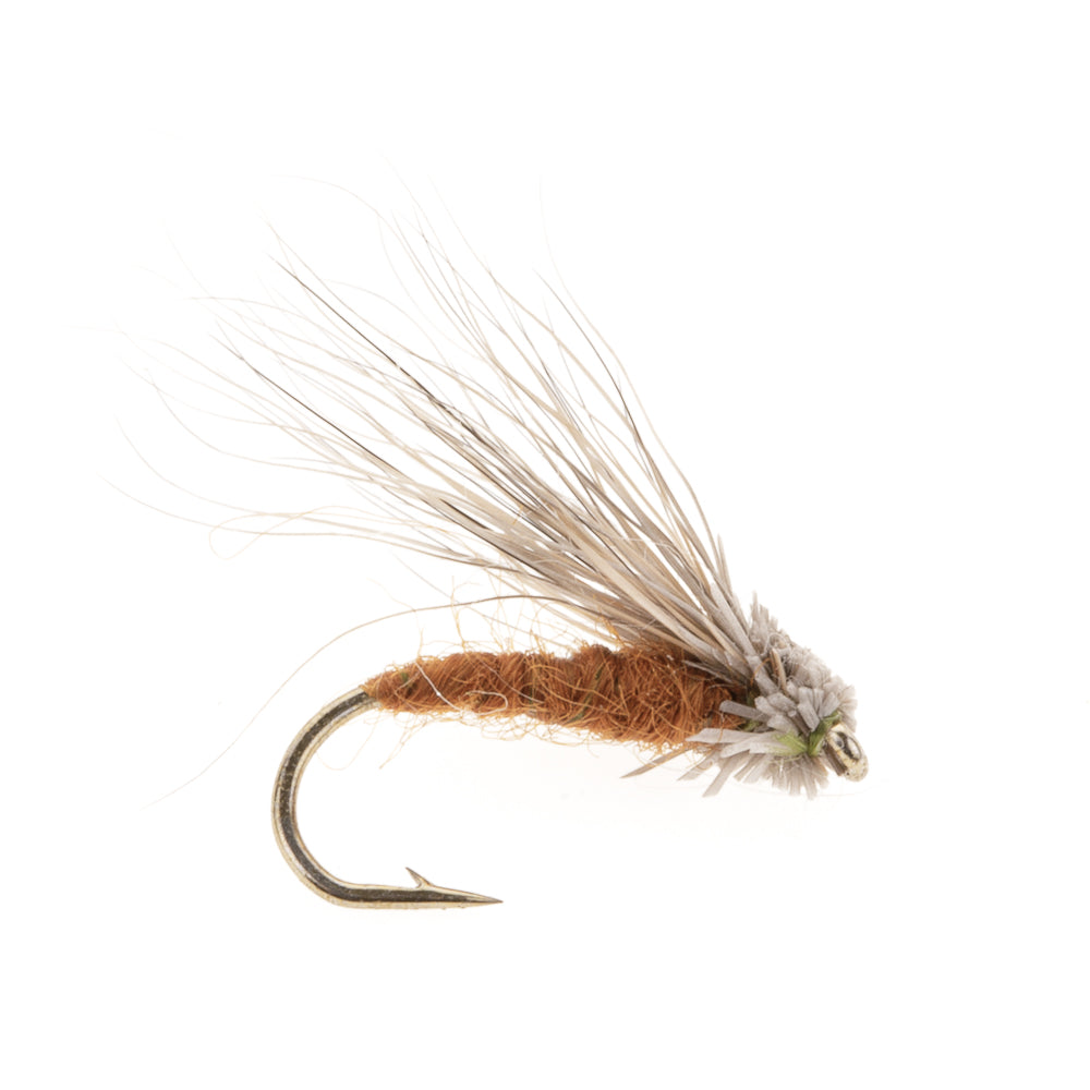 STREAKING CADDIS