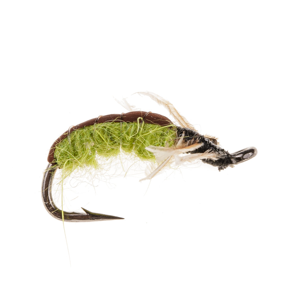 CRAWLING CADDIS OLIVE