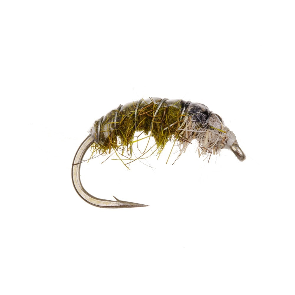 CZECH NYMPH OLIVE