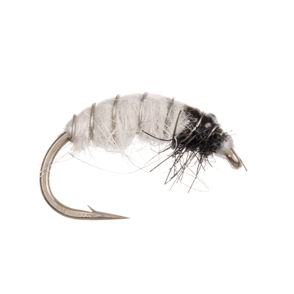 CZECH NYMPH WHITE