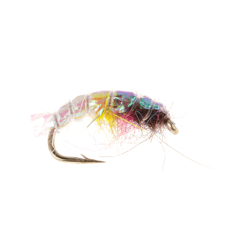 CZECH NYMPH RAINBOW SLIM LINE