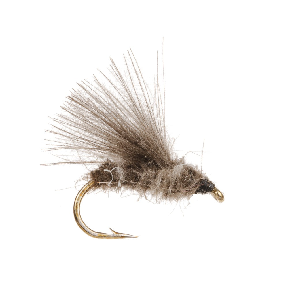 SEDGE CDC DARK DUN