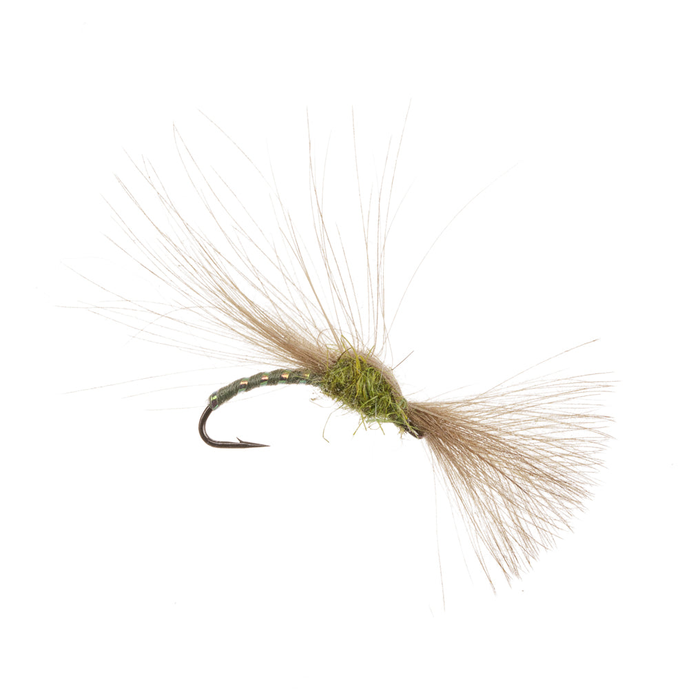 SHUTTLECOCK CDC OLIVE