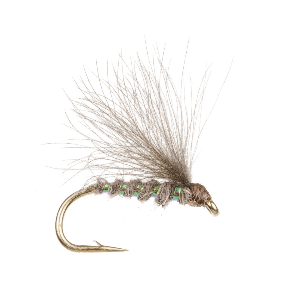 F-FLY CDC HARES EAR