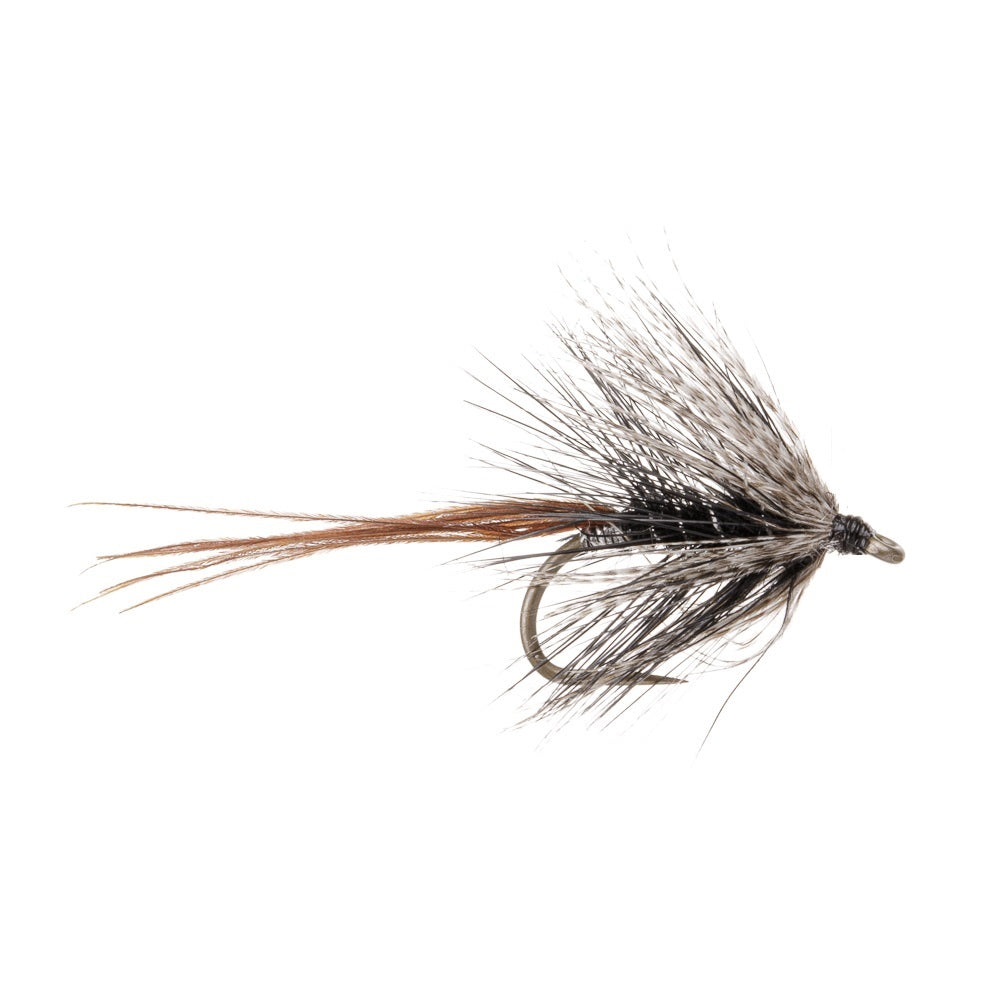 DABBLER BLACK