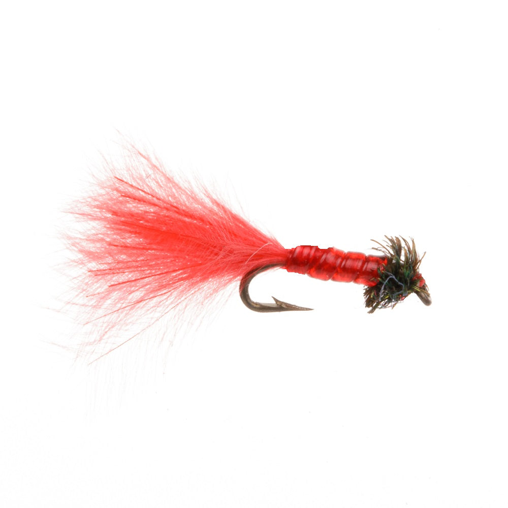 BLOODWORM MICRO