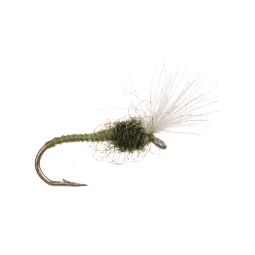 CDC BUZZER OLIVE