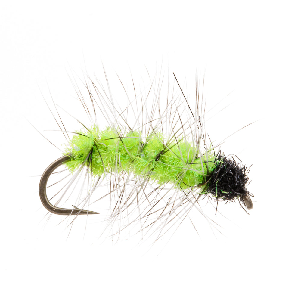 CATERPILLAR GREEN