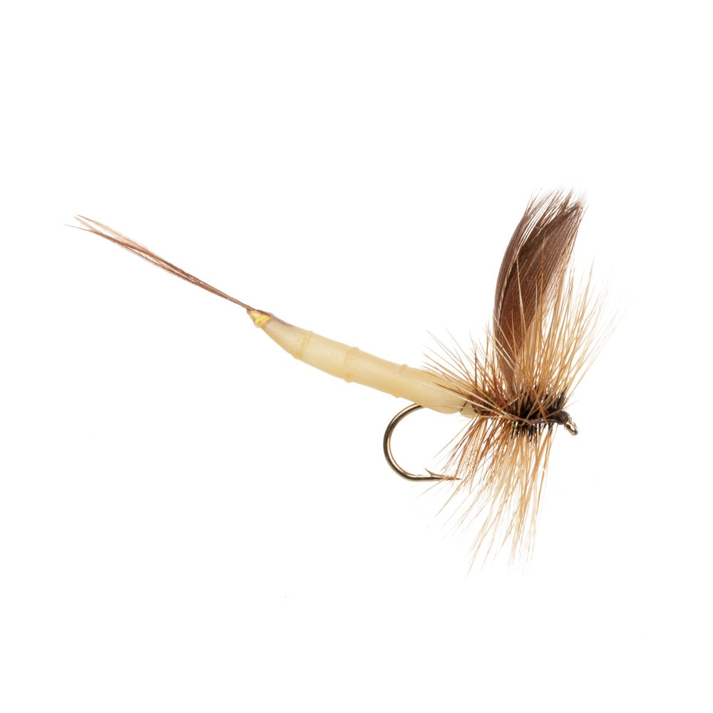 DETACHED BROWN DRAKE MAYFLY