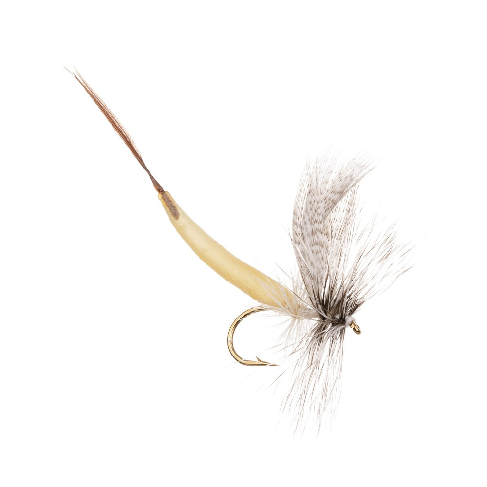 DETACHED WHITE DRAKE MAYFLY