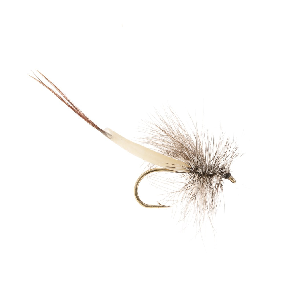 DETACHED CDC DRAKE MAYFLY