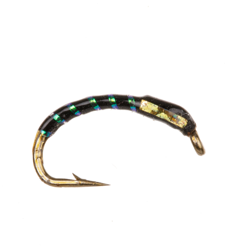 BLACK/GOLD HOLO BUZZER