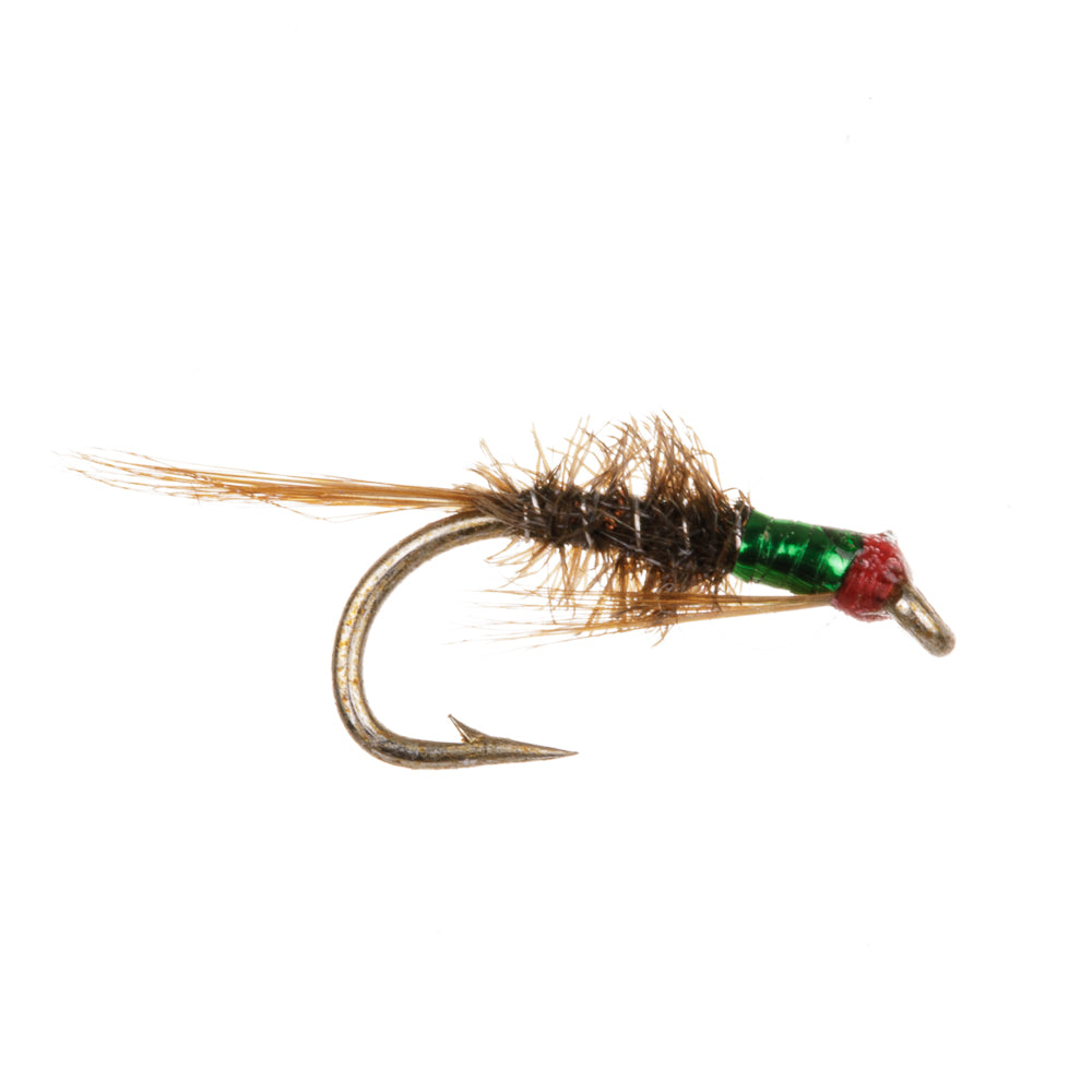 GREEN THROAT DIAWL BACH