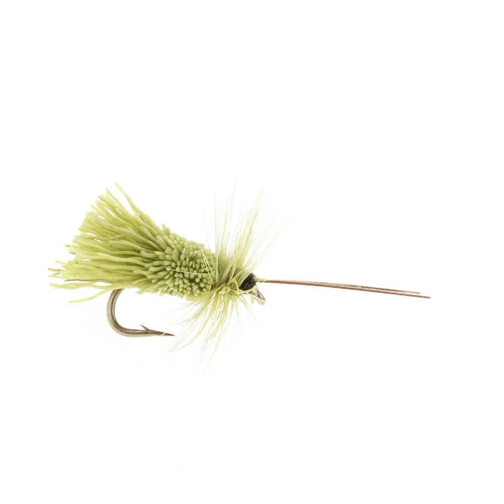 G & H SEDGE OLIVE