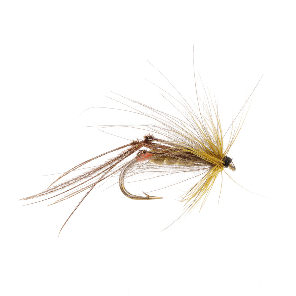 GOLDEN OLIVE BRISTOL HOPPER CDC