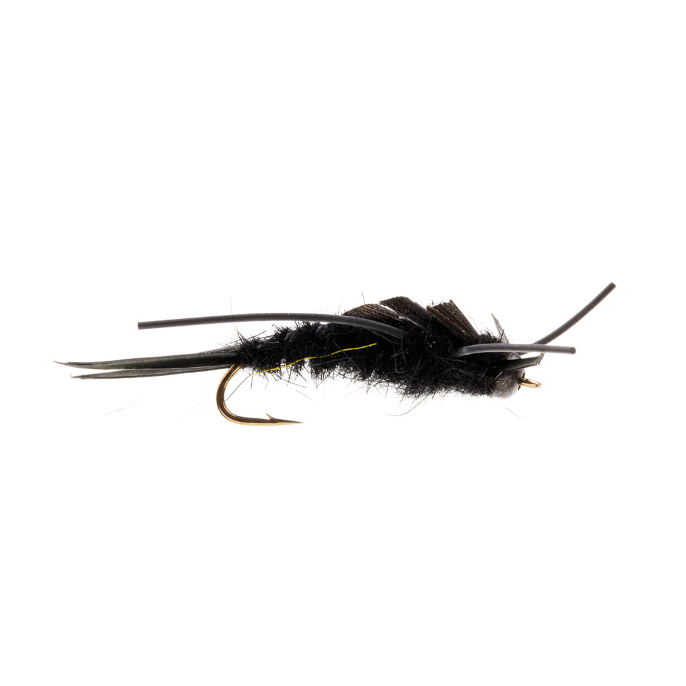 LARGE BLACK STONEFLY