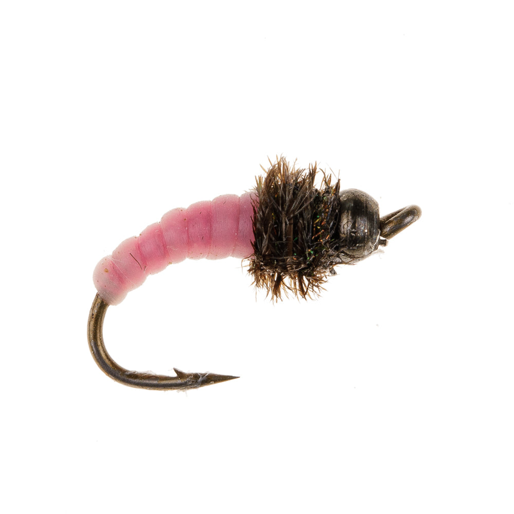 PINK GRUB BLACK HEAD