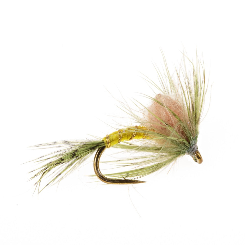 EMERGER CDC MAYFLY