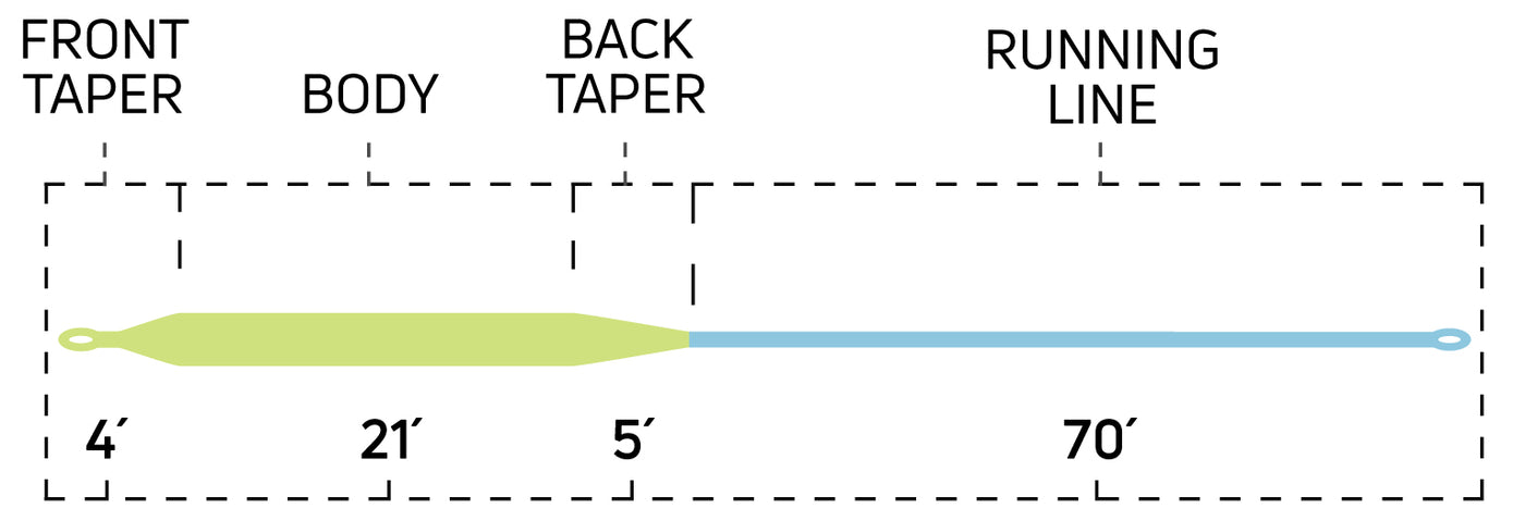 MULLET / REDFISH COLD WATER FLY LINE