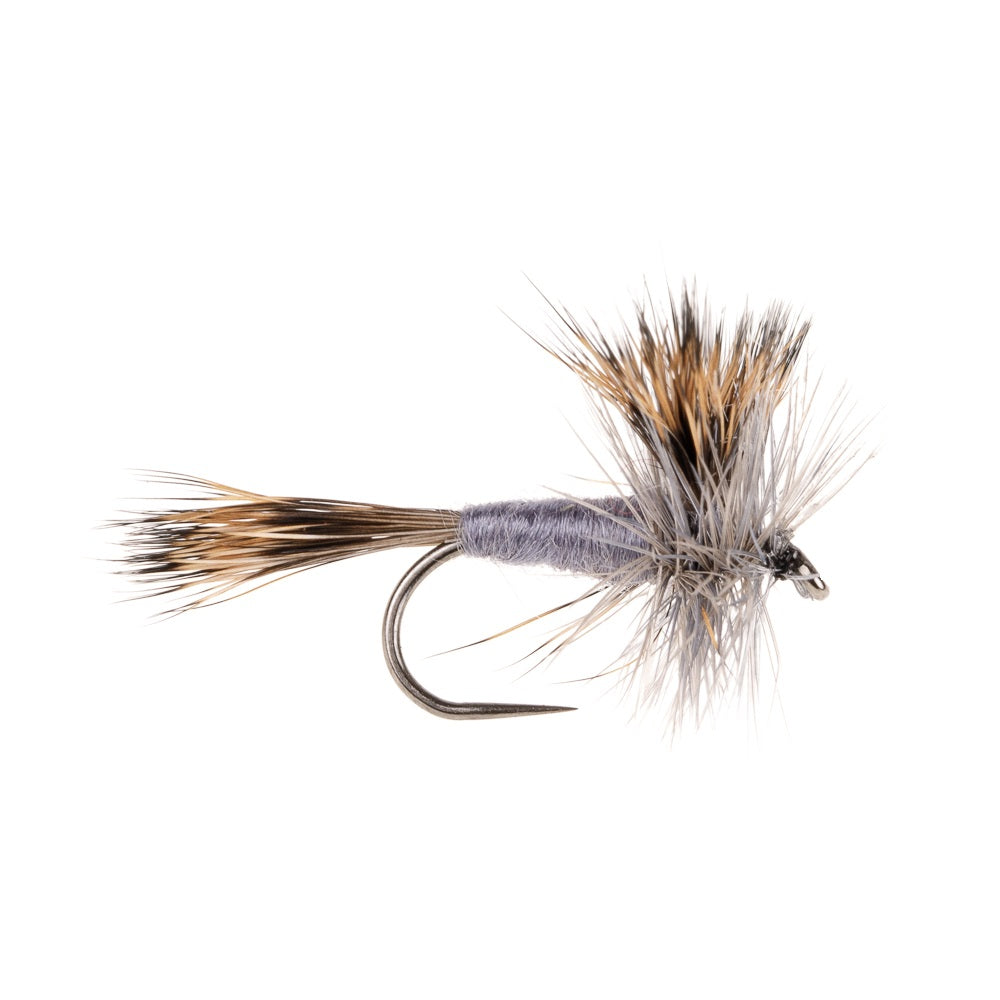 GREY WULFF DRY BARBLESS