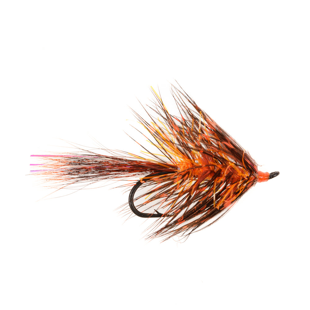 DAZZLE SHRIMP ORANGE