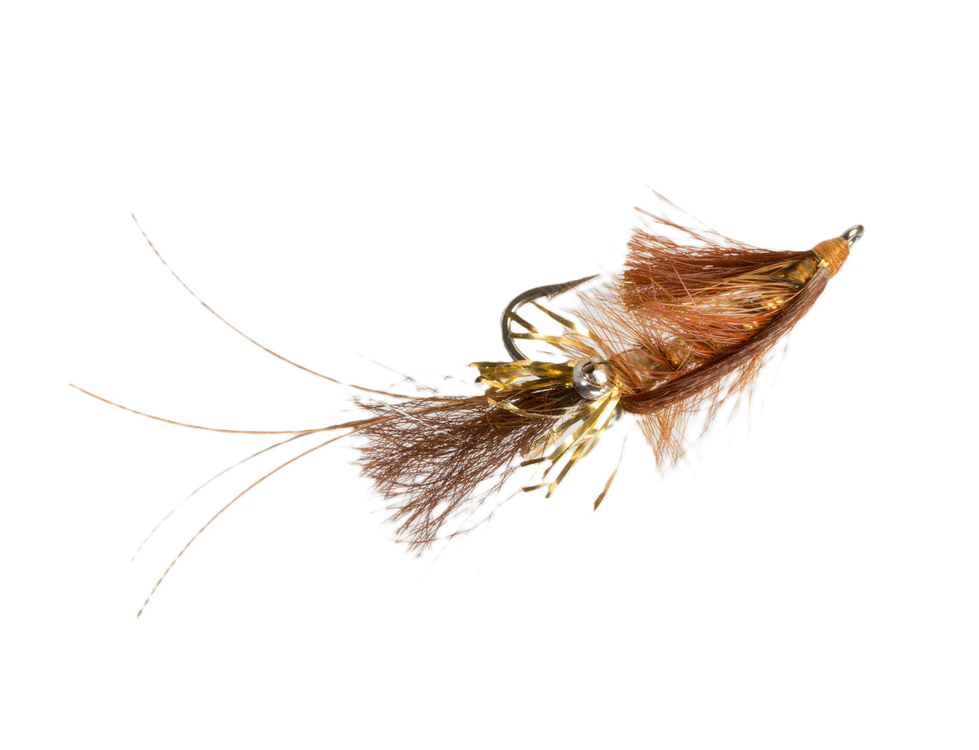 JIMS GOLD-EYE SHRIMP