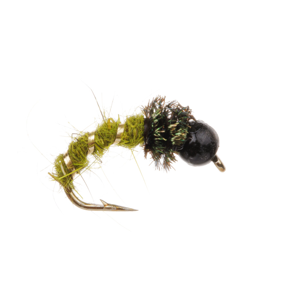 CADDIS OLIVE TUNGSTEN BEADHEAD