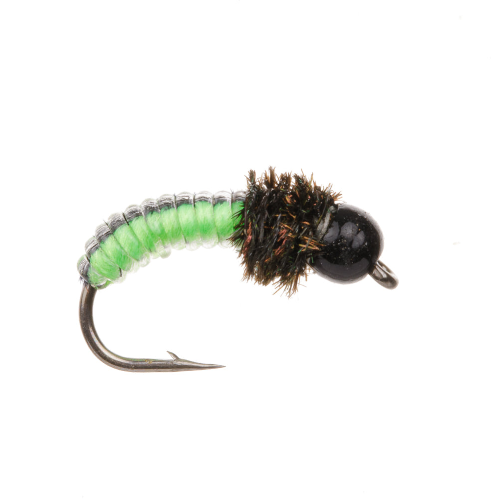 GRUB BLACK/LIME