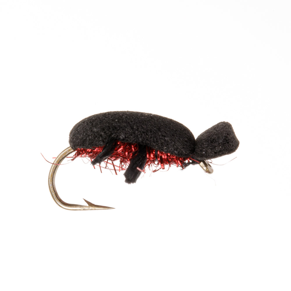 FIRE BEETLE