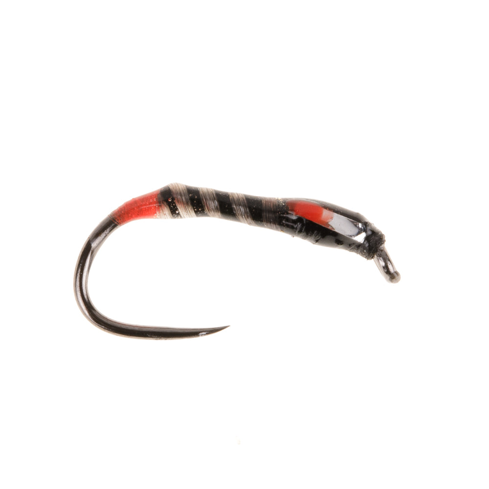 RED & SILVER CHEEK BARBLESS