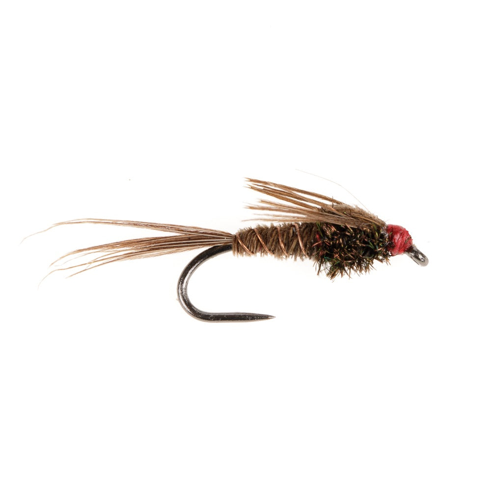 PHEASANT TAIL WN BARBLESS