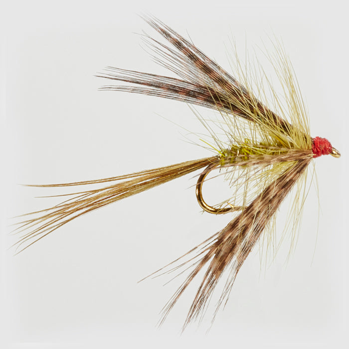 DABBLER - Olive