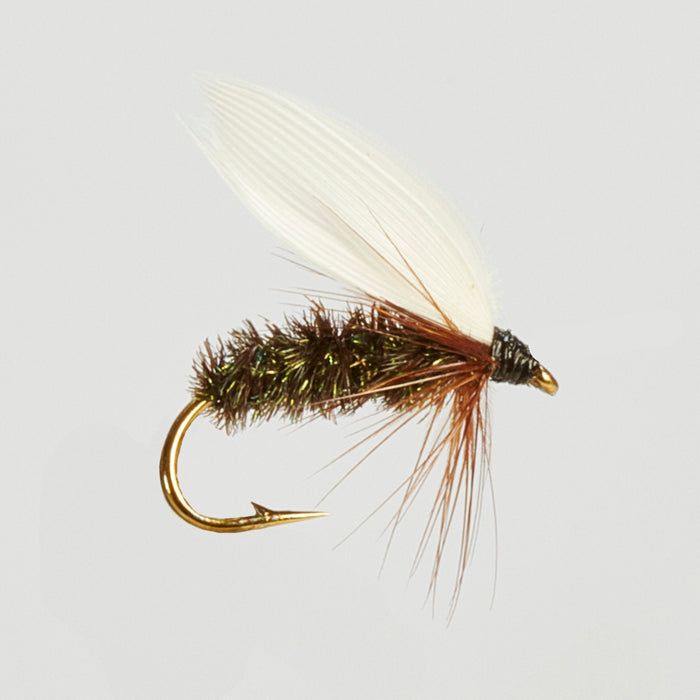 COACHMAN WET WINGED